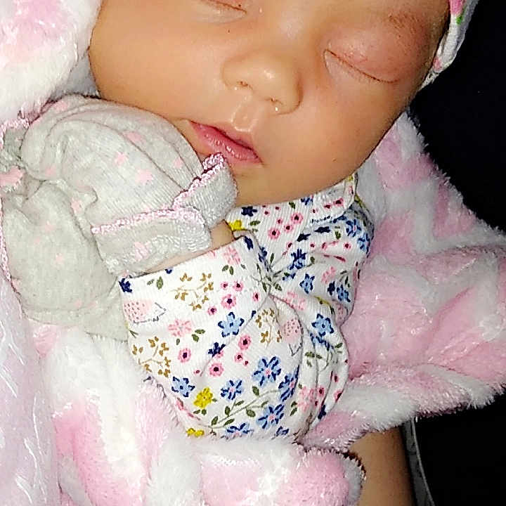 Stella