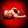 baby, rose, red_background, infant, portrait, flower, skin, bare_chest, jeans, lying_down, cute, child, newborn, soft_light, closeup, expression, small_hand, face, adorable, peaceful