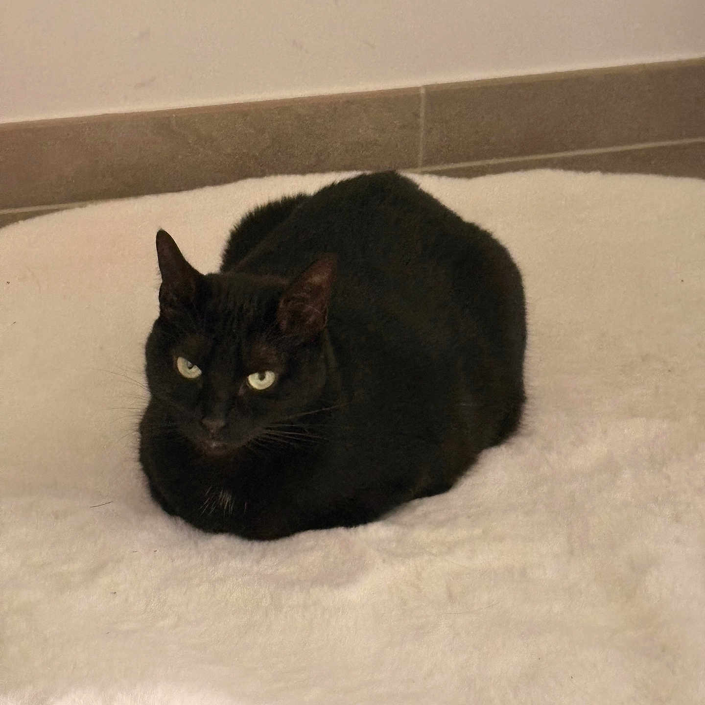 Nalla