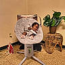 Zoriyah is registered to the contest to win money with this photo: baby, infant, child, sleeping, rocker, baby_seat, portrait, indoor, home, houseplant, wicker_furniture, floor, wall, framed_art, iron, electrical_cord, nursery, blanket, pink_socks, cozy