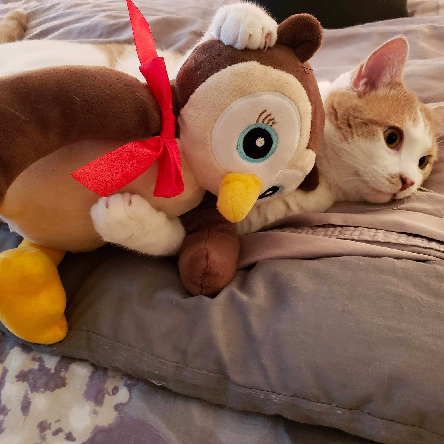 Finnick joined the competition — help win amazing prizes! cat, ear, fawn, felidae, plush, small_to_medium_sized_cats, stuffed_toy, tail, textile, toy, whiskers