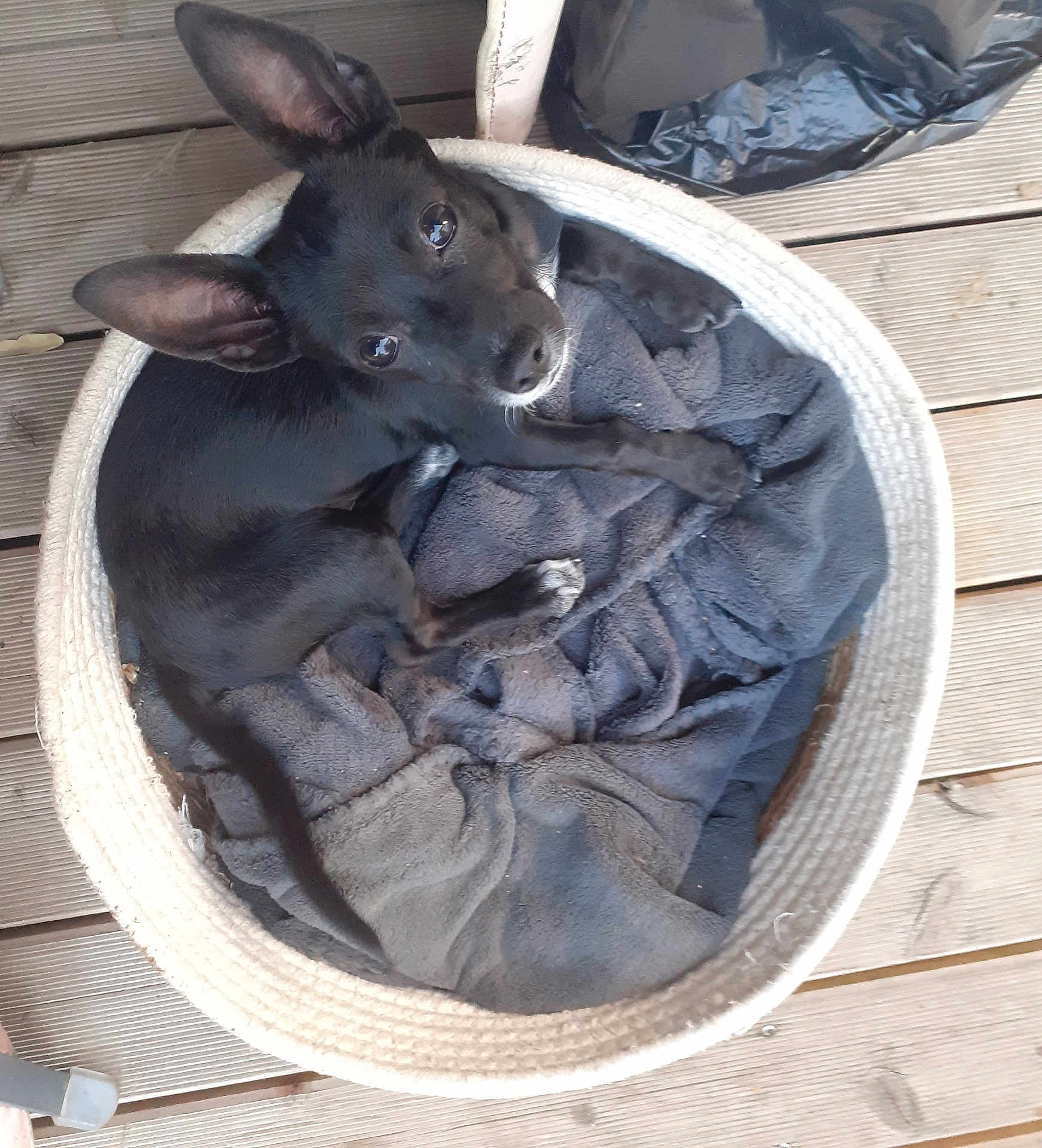 Max