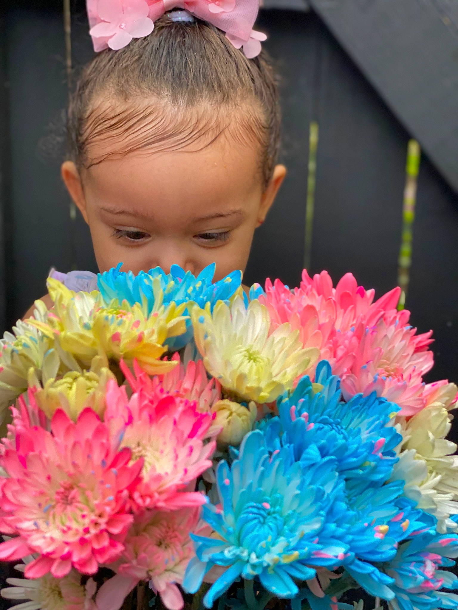 Santana joined the competition — help win amazing prizes! annual_plant, artificial_flower, baby_toddler_clothing, bouquet, cut_flowers, entertainment, event, eyelash, fashion_accessory, flower, flower_arranging, flowering_plant, fun, happy, magenta, person, petal, pink, plant, toddler