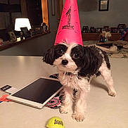 Macie is registered to the contest to win money with this photo: