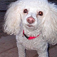 Mattie is registered to the contest to win money with this photo: