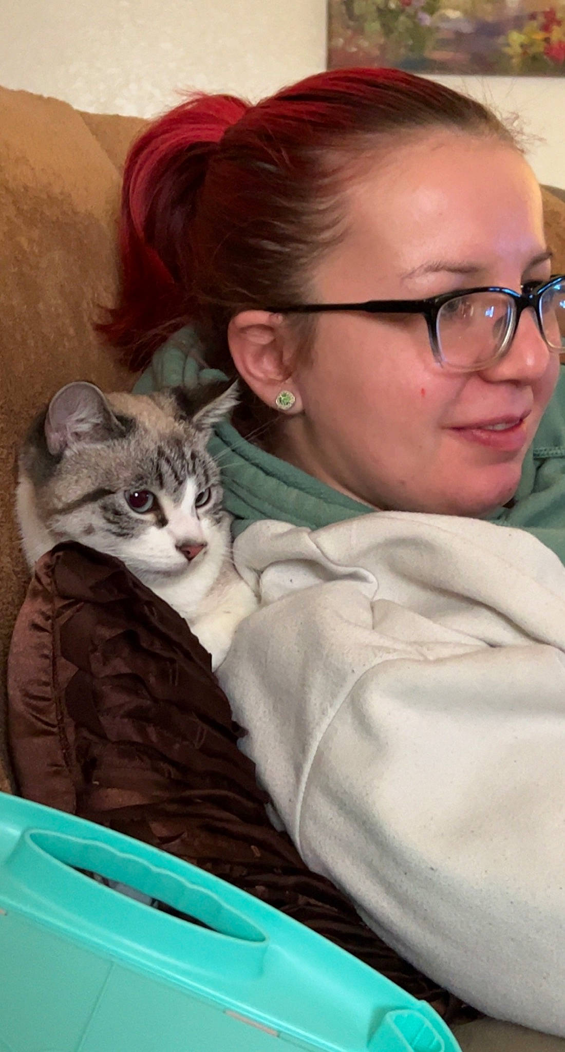 Princess joined the competition — help win amazing prizes! carnivore, cat, child, comfort, domestic_short_haired_cat, ear, eyewear, fawn, felidae, fur, glasses, hug, linens, room, sitting, skin, small_to_medium_sized_cats, smile, vision_care, whiskers