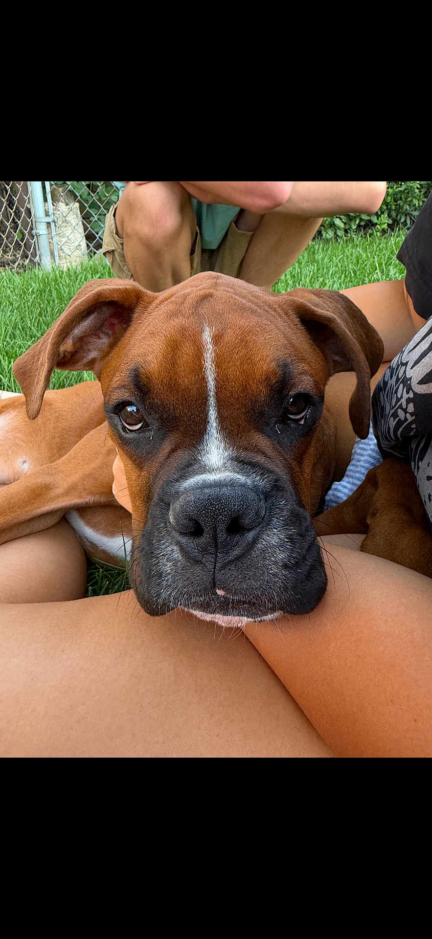 Bruno