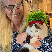 Bob is registered to the contest to win money with this photo: woman, cat, glasses, long_hair, knitted_hat, indoor, smile, holding, fluffy_cat, blue_dress, bracelet, living_room, curtains, couch, happy, pet, funny_hat, face, portrait, cozy