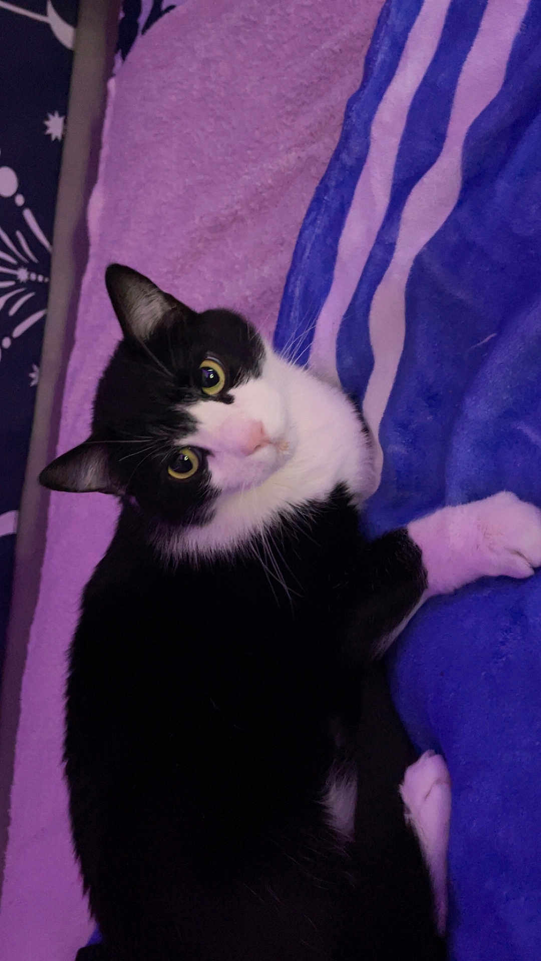 Tux