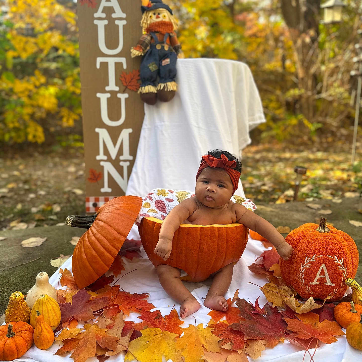 Rylee joined the competition — help win amazing prizes! autumn, baby, blanket, child, cute, decor, fall_leaves, festive, gourds, headband, holiday, leaf, nature, orange, outdoor, portrait, pumpkin, scarecrow, seasonal, sitting