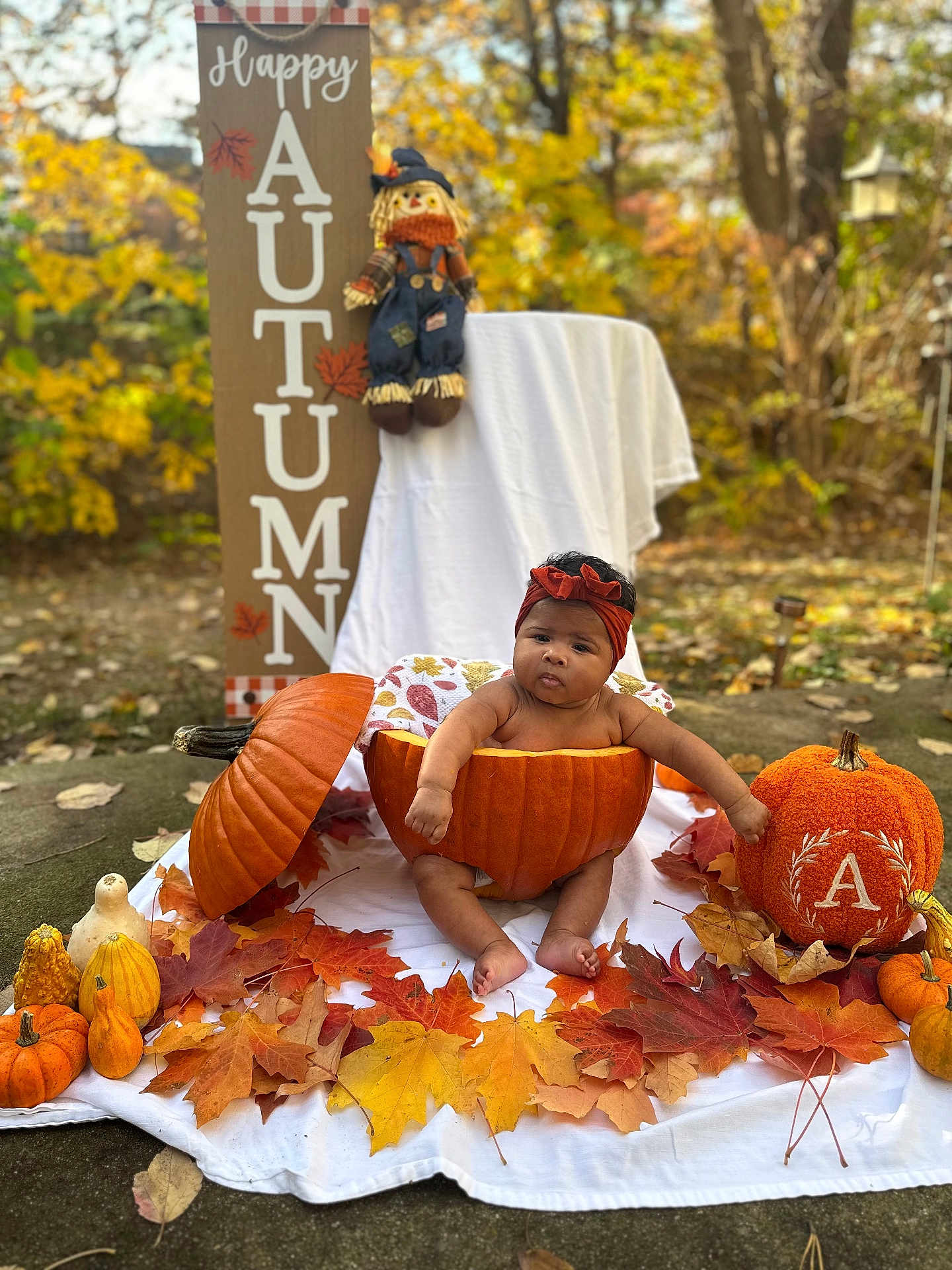 Rylee joined the competition — help win amazing prizes! baby, pumpkin, autumn, fall_leaves, outdoor, scarecrow, headband, gourds, seasonal, child, decor, orange, leaf, blanket, nature, cute, holiday, portrait, sitting, festive
