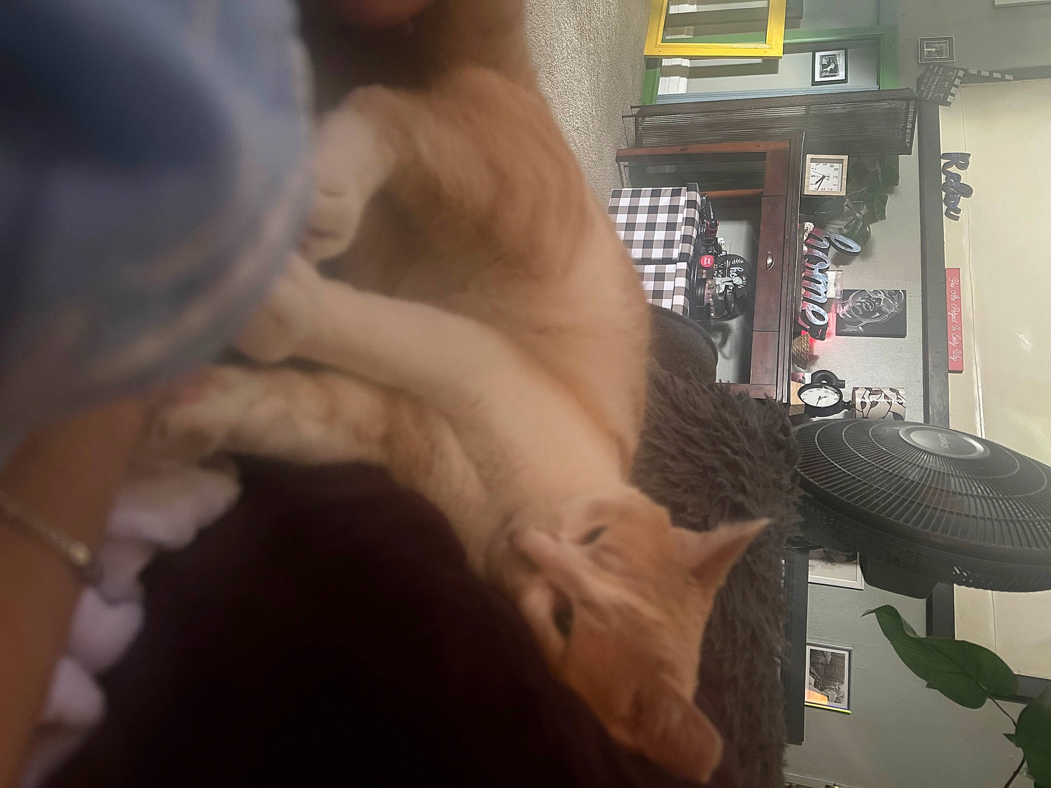 Tommy Dillpickle is registered to the contest to win money with this photo: abdomen, barechested, chest, elbow, eyelash, fawn, flesh, foot, fun, fur, gesture, human_body, human_leg, jaw, machine, nail, room, thumb, trunk, wrist