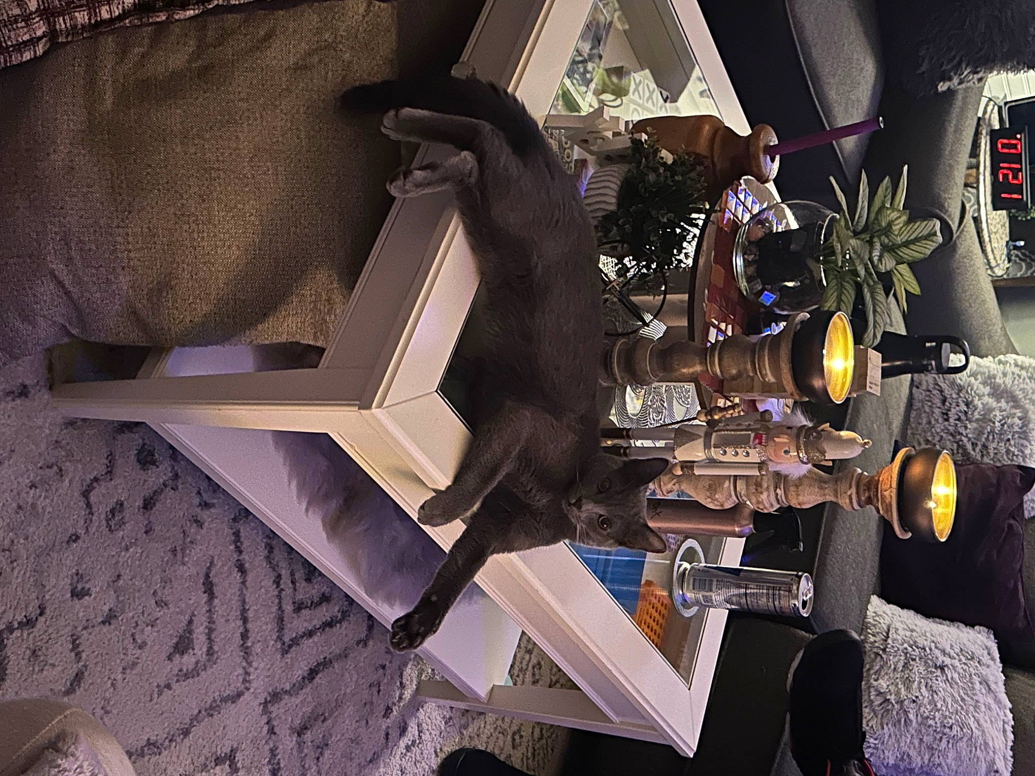 Ashton joined the competition — help win amazing prizes! art, carmine, fictional_character, flowerpot, font, houseplant, machine, metal, plant, room, shadow, space, statue, suit, tree, visual_arts, wing