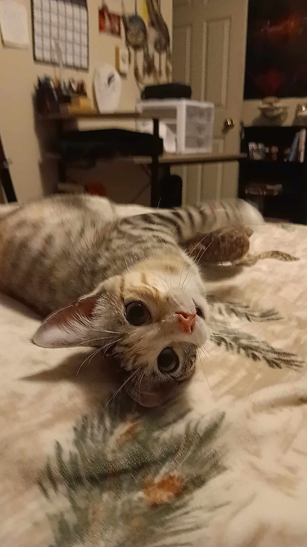 Hazel