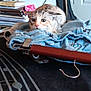 cat, clothing, jeans, table, notebooks, bag, indoor, furniture, shelf, fabric, music_notes, resting, animal, curious, domestic_cat, striped_cat, soft_lighting, textile, household, casual
