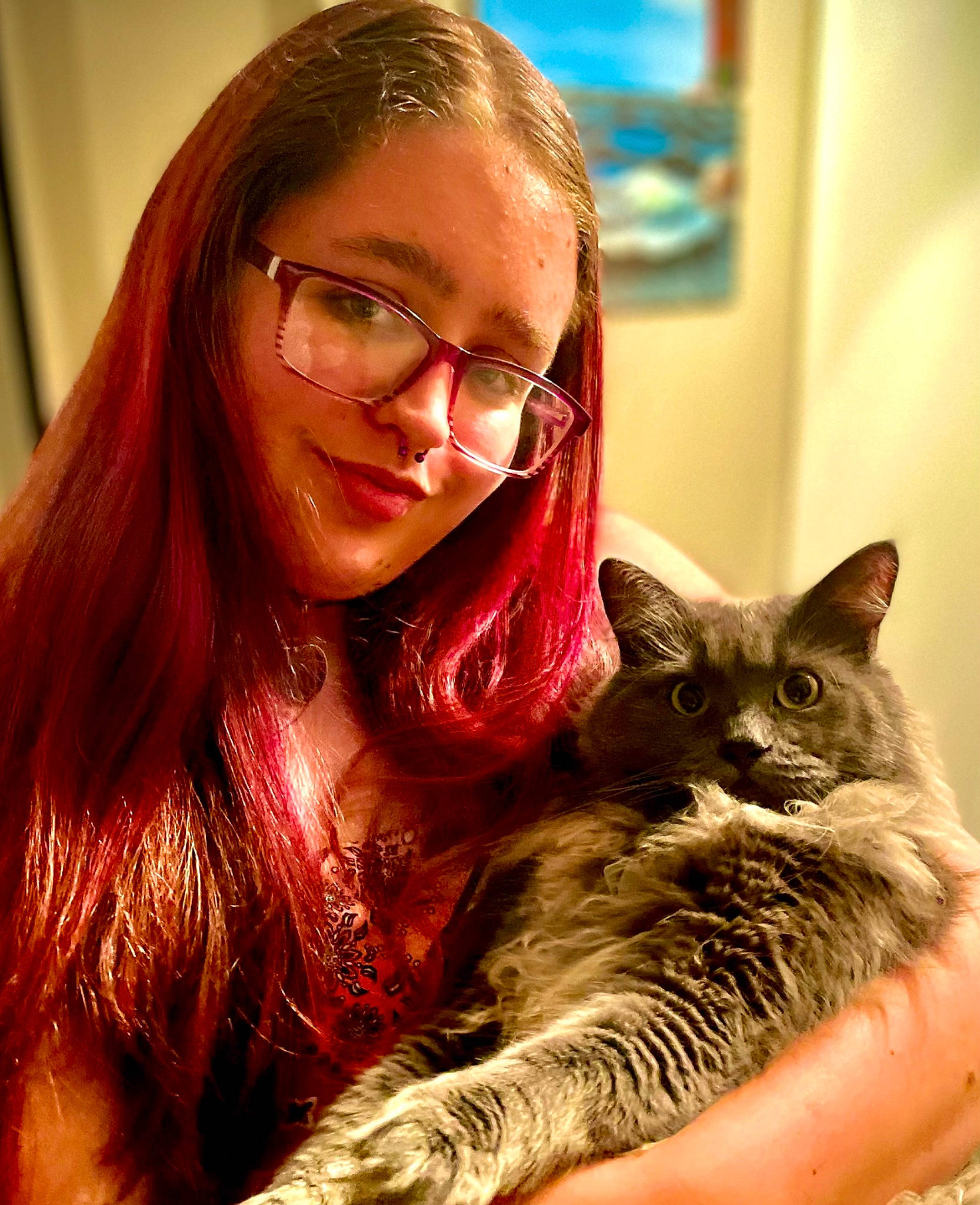 Smokey is registered to the contest to win money with this photo: brown_hair, carnivore, cat, domestic_short_haired_cat, ear, eyelash, eyewear, facial_expression, fawn, felidae, fur, glasses, happy, iris, lap, picture_frame, small_to_medium_sized_cats, smile, vision_care, whiskers