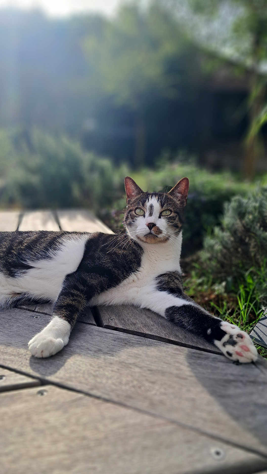 Rio