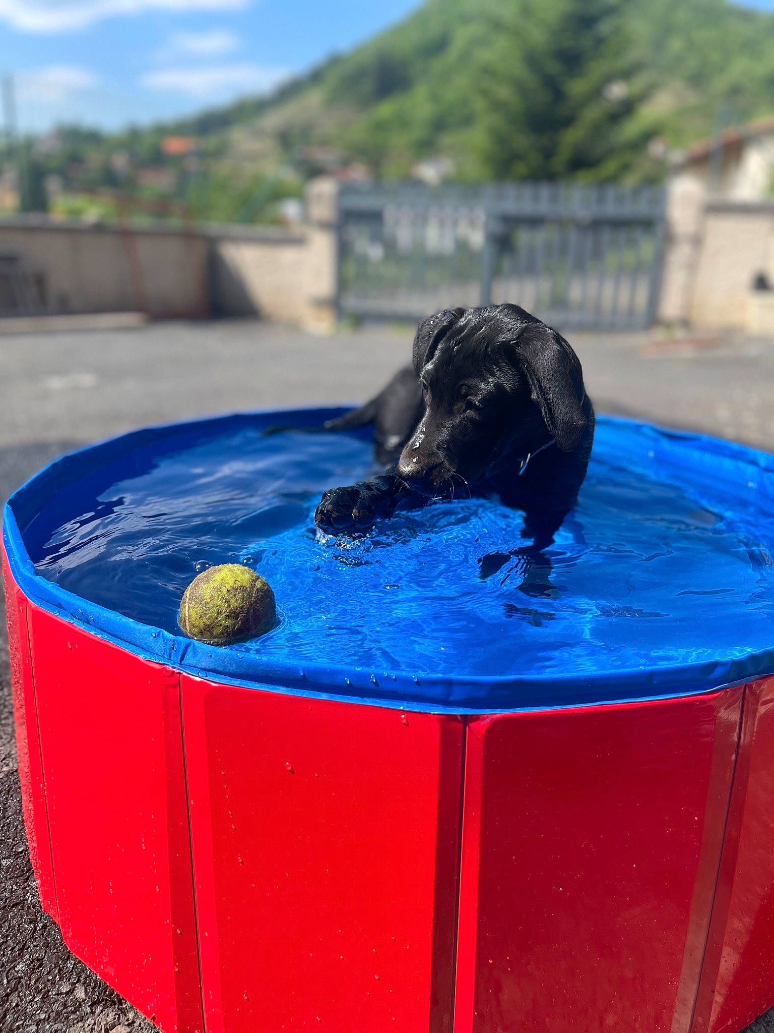 Hermès a rejoint le concours — aidez-le/la à gagner de superbes lots ! art, automotive_tire, automotive_wheel_system, azure, beak, blue, cloud, electric_blue, fun, grass, leisure, marine_mammal, raven, recreation, seal, sky, soil, tree, water, water_feature