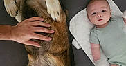 Jaxon joined the competition — help win amazing prizes! baby, dog, hand, lying_down, pet, infant, comfort, indoor, white_mat, gray_surface, fur, cute, relaxed, friendship, trust, companion, paw, person, skin, animal