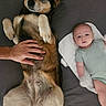 baby, dog, hand, lying_down, pet, infant, comfort, indoor, white_mat, gray_surface, fur, cute, relaxed, friendship, trust, companion, paw, person, skin, animal