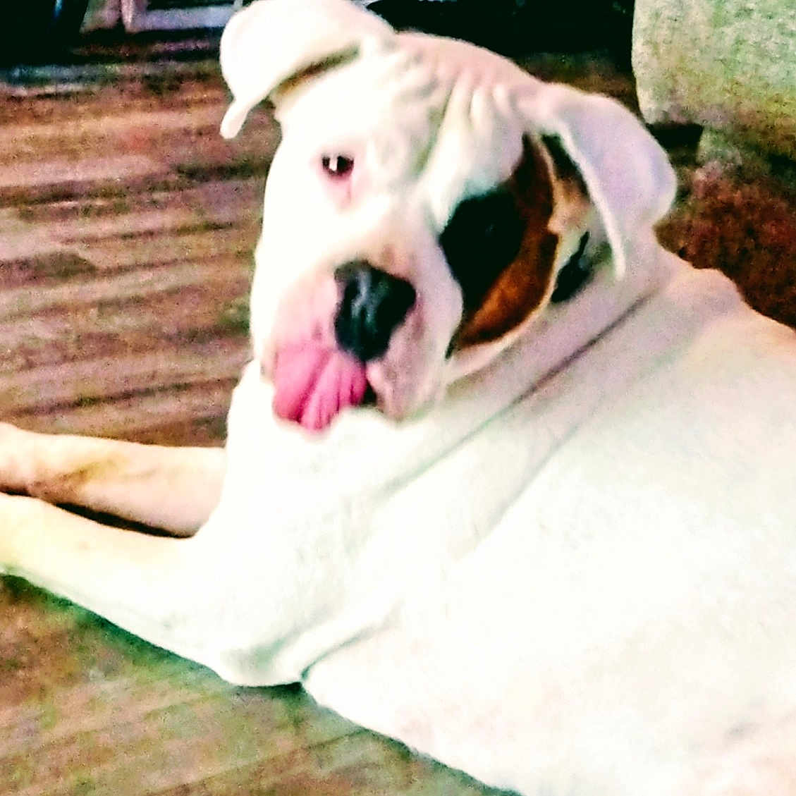 Frank