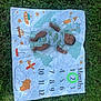 baby, infant, milestone_blanket, grass, outdoor, dinosaur_onesie, months_marker, green_circle, cute, lying_down, child, nature, playful, illustrations, animal_drawings, vehicle_drawings, young_child, portrait, blanket, summer