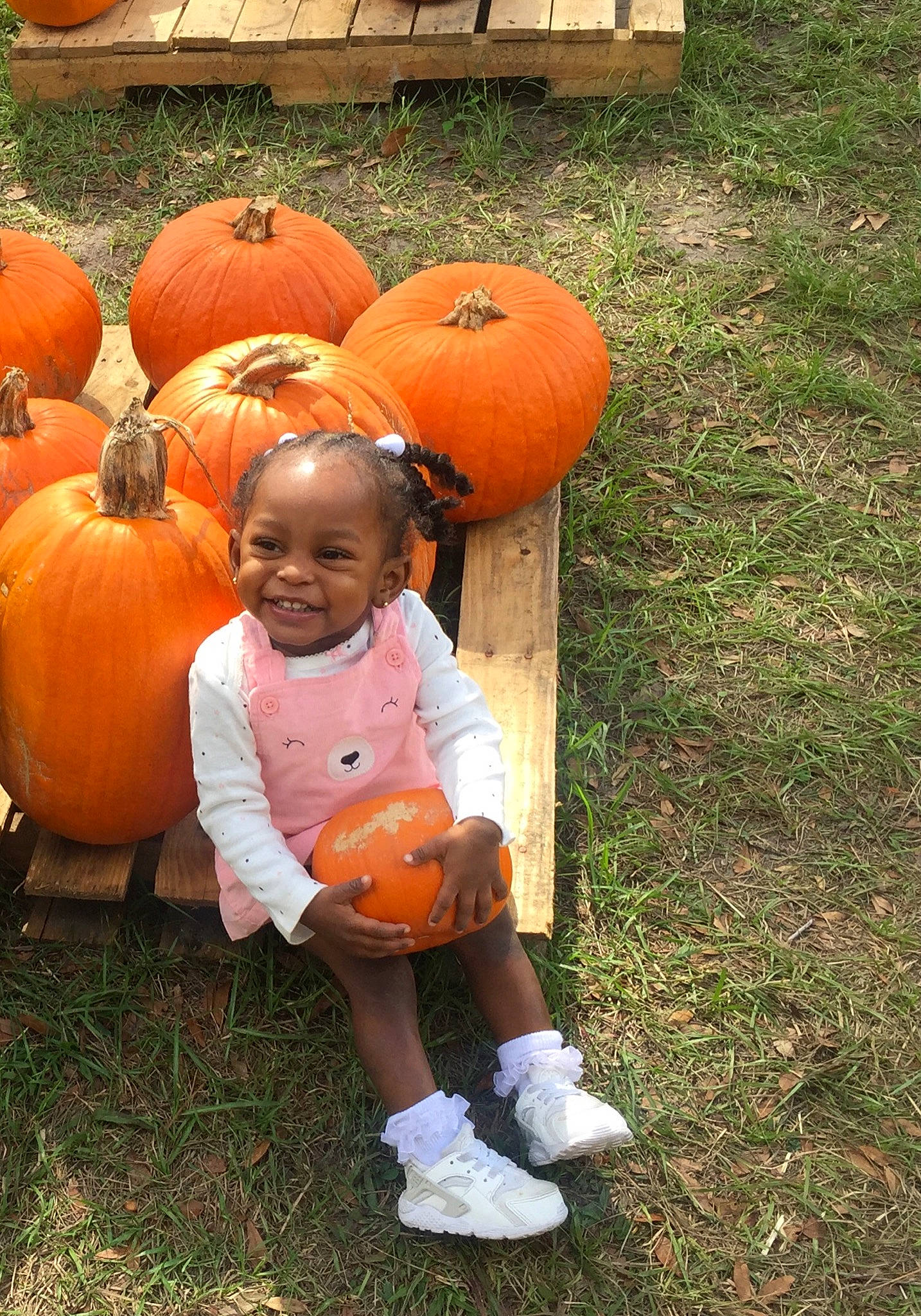 Leighla joined the competition — help win amazing prizes! calabaza, child, cucurbita, fun, gourd, grass, halloween, joy, person, play, pumpkin, recreation, smile, toddler, winter_squash