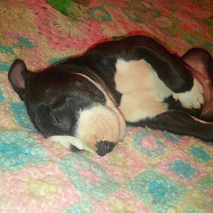 Boss joined the competition — help win amazing prizes!