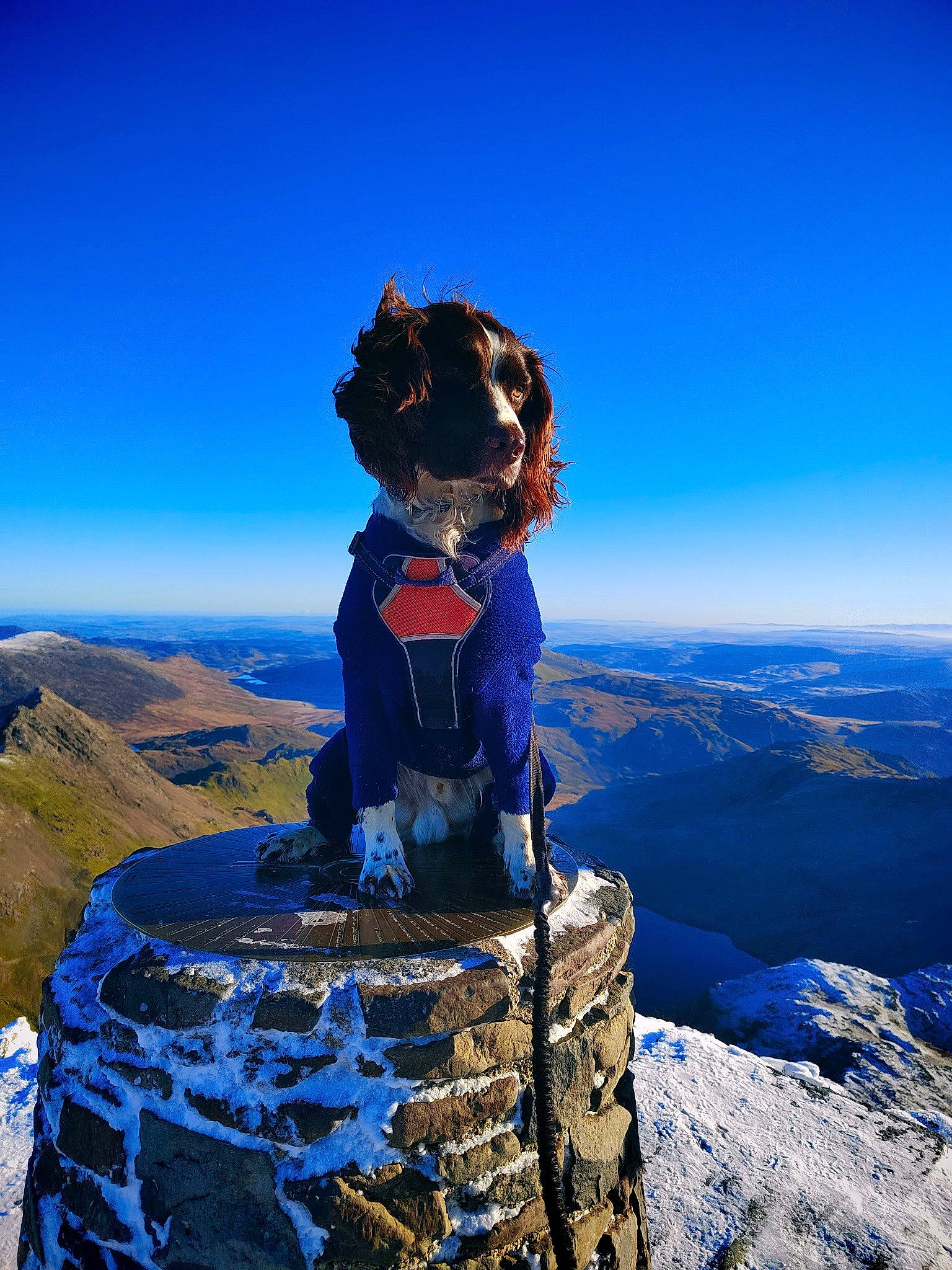 Oslo joined the competition — help win amazing prizes! azure, blue, carnivore, cloud, electric_blue, fun, happy, hill, horizon, landscape, leisure, mountain, mountain_range, mountainous_landforms, people_in_nature, recreation, sky, slope, snow, travel