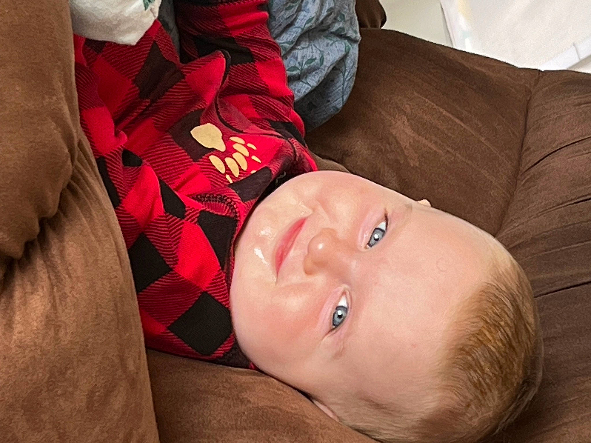 Earl joined the competition — help win amazing prizes! baby, carmine, child, close_up, collar, comfort, couch, dress_shirt, eyelash, happy, head, joy, linens, lip, nose, pattern, person, skin, sleeve, tie