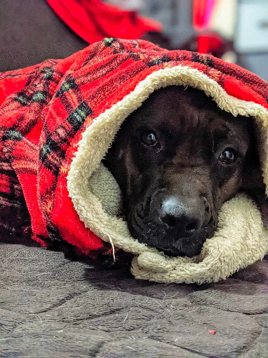 Mama