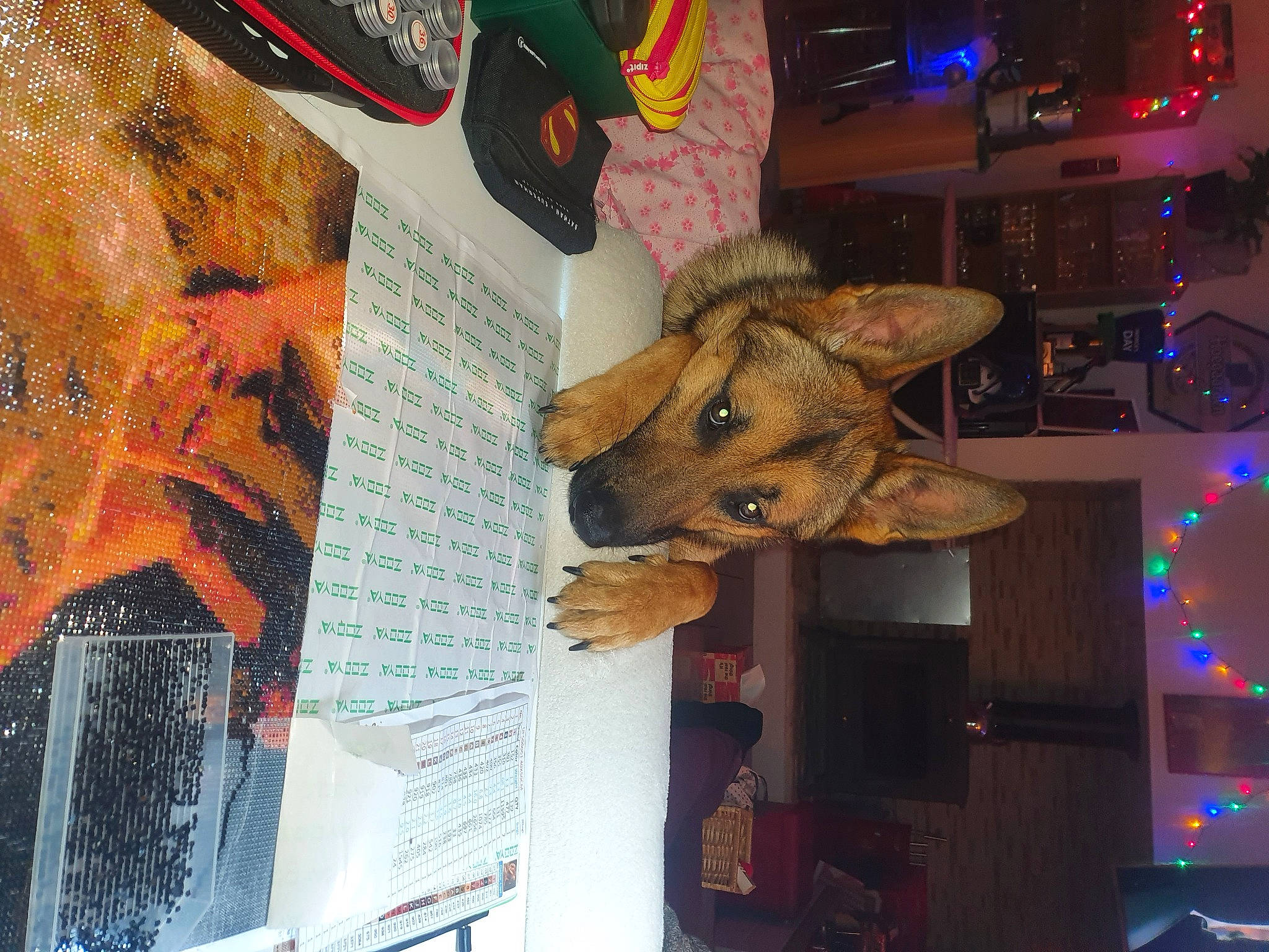 Rayden a rejoint le concours — aidez-le/la à gagner de superbes lots ! art, carmine, event, font, fur, graphic_design, graphics, holiday, illustration, ornament, paper, publication, room, space, tree, visual_arts, whiskers