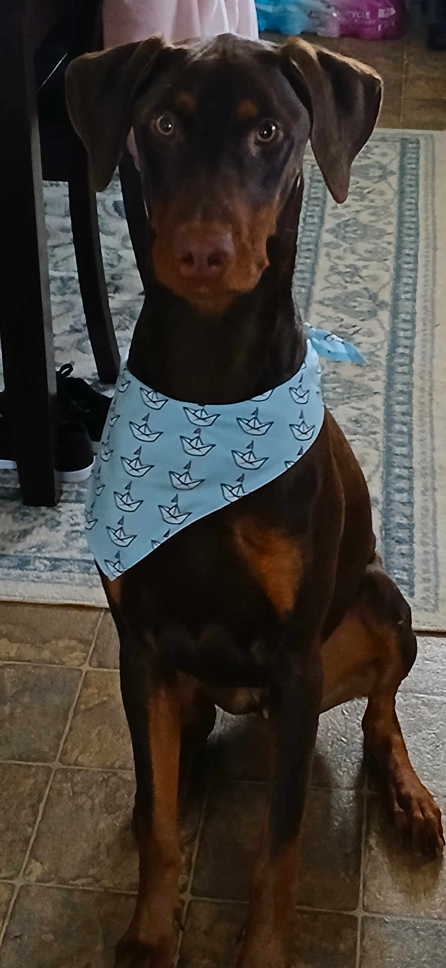 Ryder