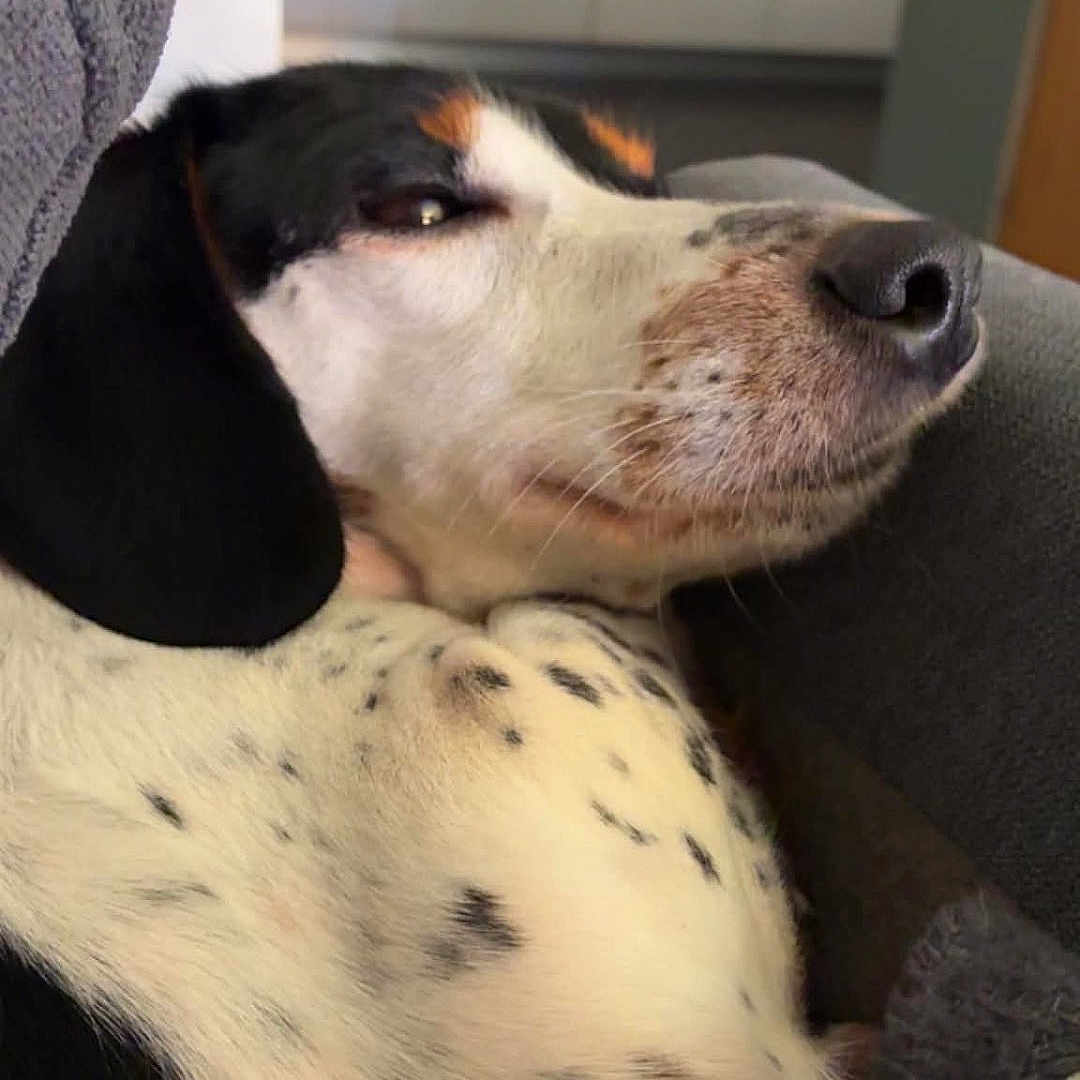 Ruby