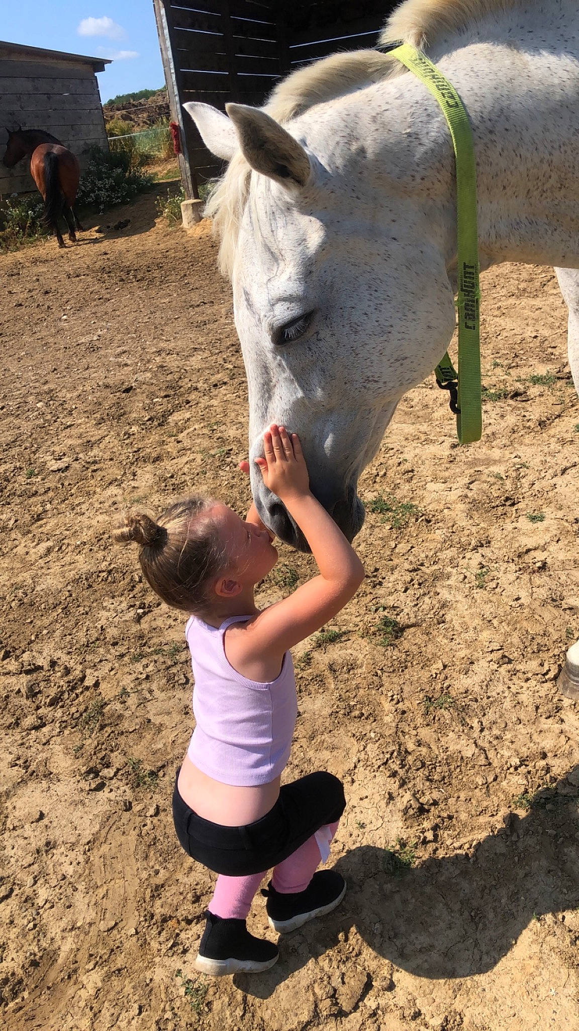 Kaytaleya participe au concours pour gagner de l'argent avec cette photo : bridle, child, happy, horse, horse_supplies, horse_tack, landscape, livestock, mane, mare, pack_animal, person, play, ranch, recreation, shorts, soil, stallion, terrestrial_animal, toddler