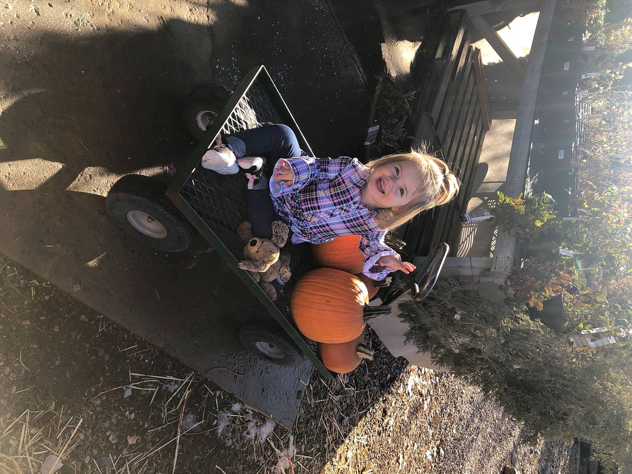 Joslyn is registered to the contest to win money with this photo: adventure, fun, joy, person, tree