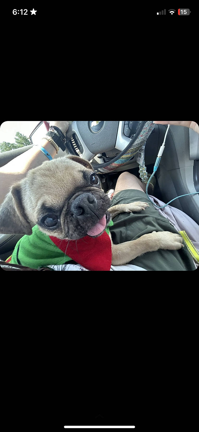 Bug joined the competition — help win amazing prizes! automotive_design, automotive_lighting, automotive_tire, bag, car_seat, car_seat_cover, carnivore, comfort, companion_dog, dog, fawn, font, grass, luggage_and_bags, motor_vehicle, personal_luxury_car, pug, steering_wheel, trunk, vehicle_door