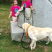 Usko participe au concours pour gagner de l'argent avec cette photo : children, girls, dog, labrador, outdoor, grass, garden, monument, statue, stone, pink_shirts, matching_clothes, blonde_hair, laughing, standing, leash, harness, playful, family, daylight