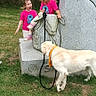 children, girls, dog, labrador, outdoor, grass, garden, monument, statue, stone, pink_shirts, matching_clothes, blonde_hair, laughing, standing, leash, harness, playful, family, daylight