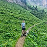 dog, person, hiker, mountain, mountainscape, trail, hiking, outdoors, nature, wildflowers, greenery, forest, cliffs, valley, landscape, adventure, leash, backpack, summer, scenic