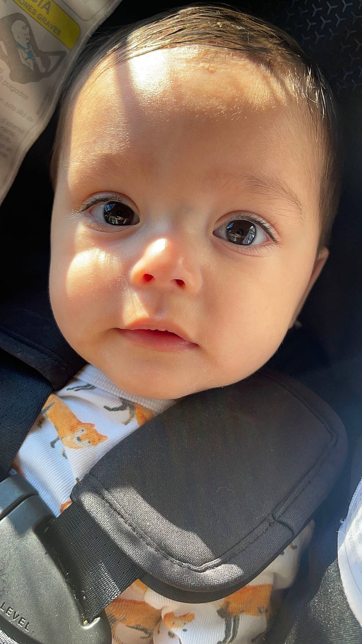 Azrael is registered to the contest to win money with this photo: baby, baby_products, baby_toddler_clothing, car_seat, cheek, child, chin, close_up, collar, comfort, eyebrow, eyelash, flash_photography, iris, lip, nose, person, sitting, skin, sleeve