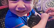 Loyal joined the competition — help win amazing prizes! toddler, child, smiling, curly_hair, kitten, animal, indoor, blue_shirt, person, hand, happy, mickey_mouse, toy, seat, candid, cute, baby, pet, holding, closeup