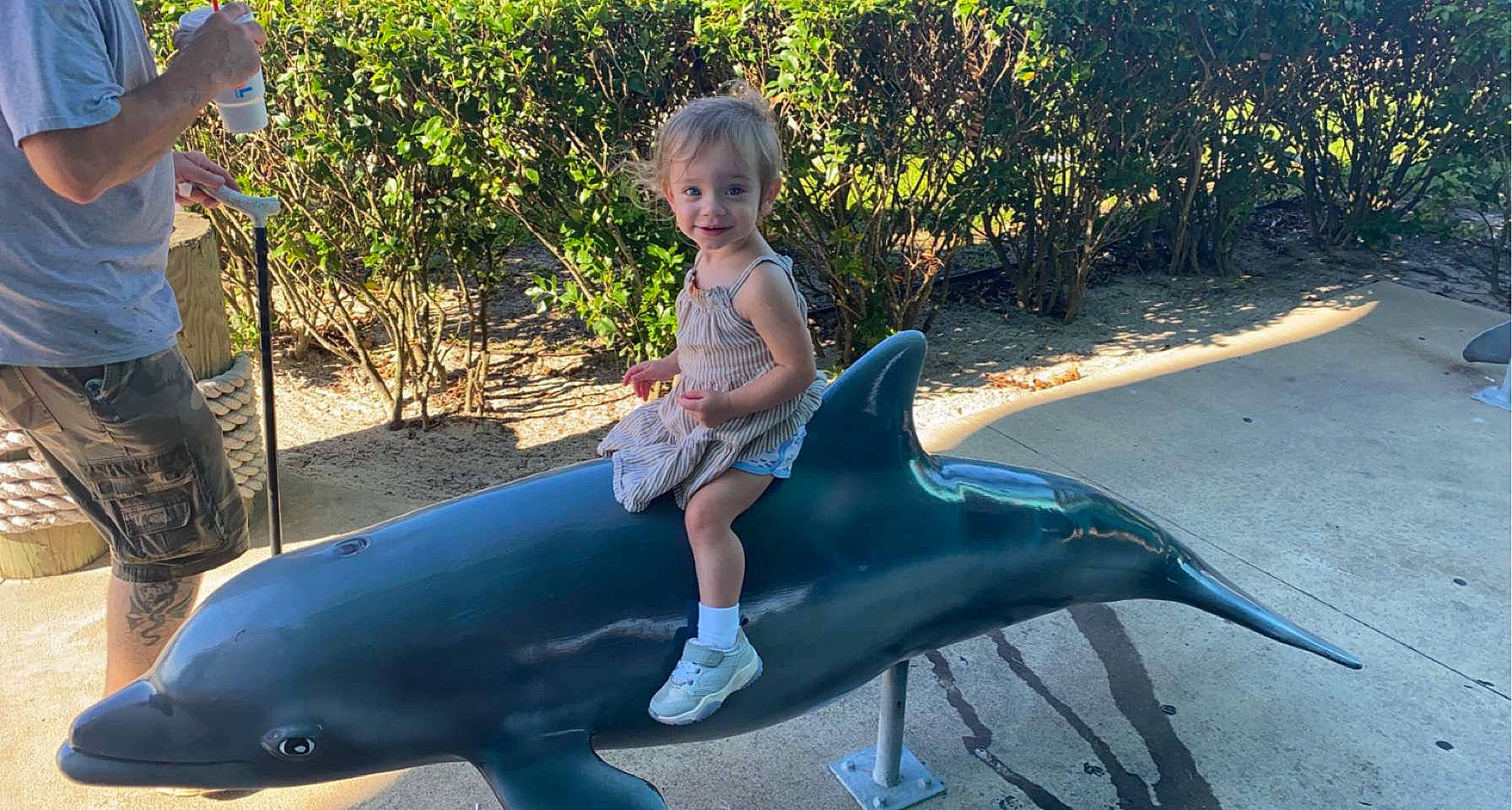 Sakari joined the competition — help win amazing prizes! bottlenose_dolphin, child, dolphin, electric_blue, fin, fish, fun, grass, human_leg, joy, leisure, marine_mammal, nature, person, plant, recreation, sitting, smile, summer, thigh