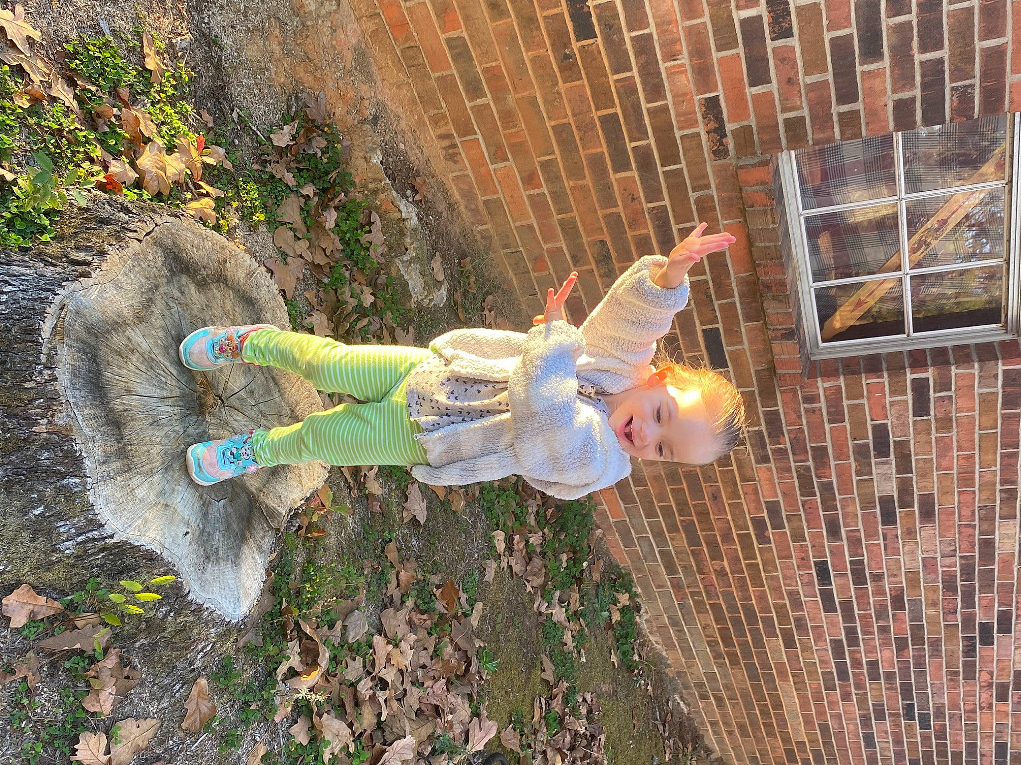 Sakari is registered to the contest to win money with this photo: agriculture, brick, brickwork, facade, garden, grass, groundcover, house, landscape, lawn_ornament, leisure, people_in_nature, person, plant, soil, tree, window, wood, yard