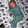 newborn, baby, sleeping, onesie, teal_clothing, blanket, animal_print, elephant, giraffe, sloth, bird, peaceful, infant, cute, portrait, bed, soft, child, cozy, resting