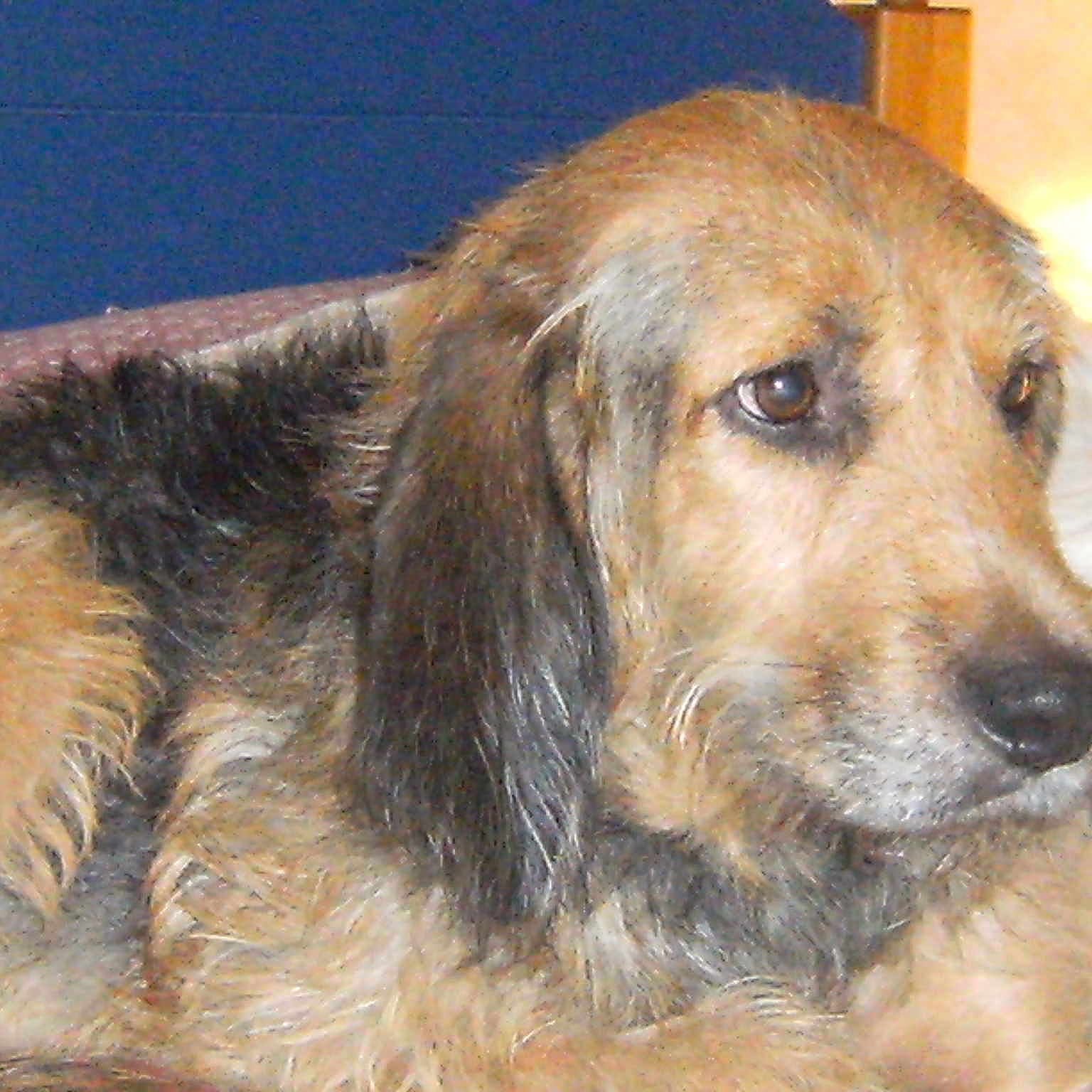 ESOPE MON ZOUZOU