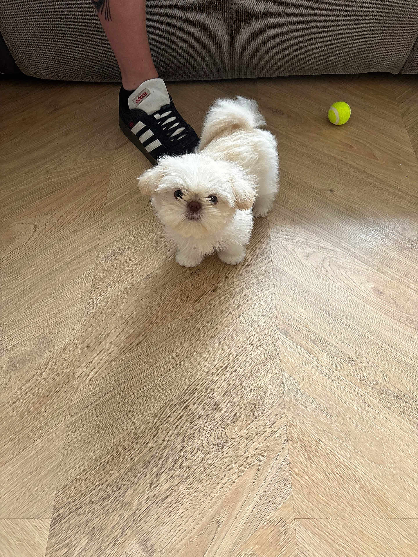 Winnie