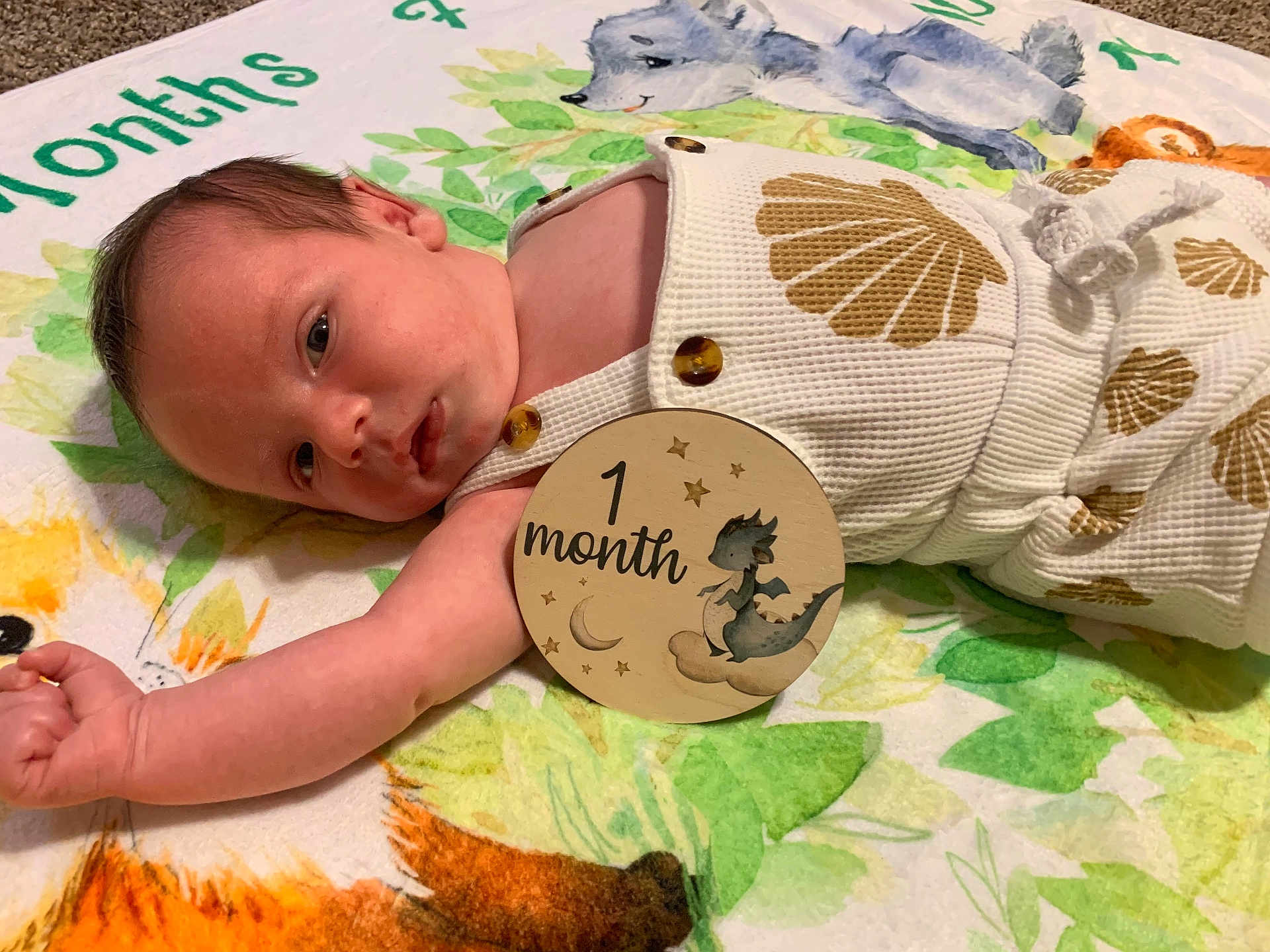 Tucker joined the competition — help win amazing prizes! baby, infant, newborn, blanket, woodland_animals, seashell_pattern, clothing, wooden_sign, 1_month, cute, milestone, lying_down, child, portrait, skin, face, arm, hand, soft_texture, decorative