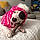 Shelia