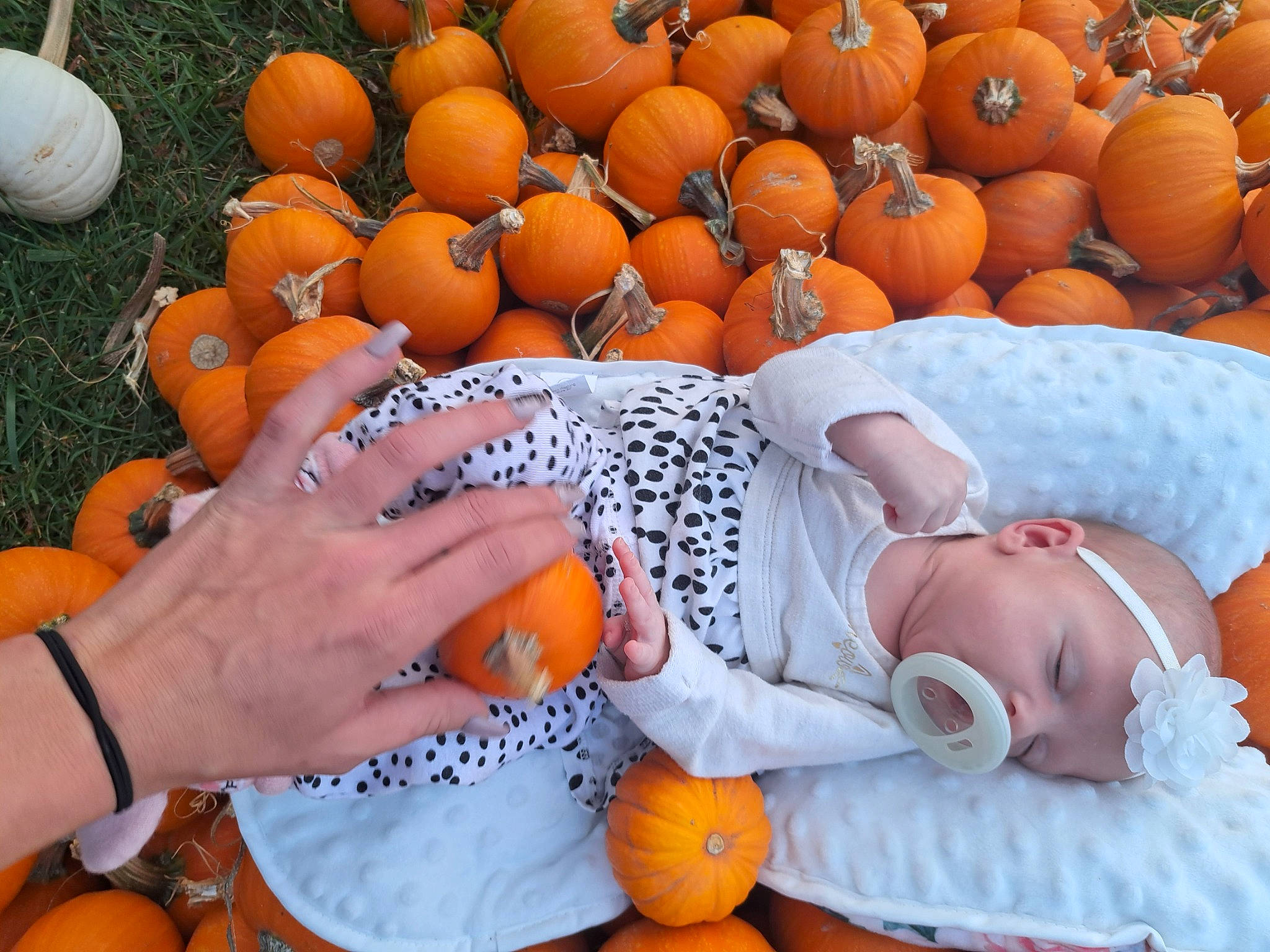 Kinzley is registered to the contest to win money with this photo: baby, baby_sleeping, baby_toddler_clothing, calabaza, comfort, cucurbita, gourd, local_food, natural_foods, orange, pattern, people, person, plant, produce, pumpkin, squash, toddler, vegetable, whole_food
